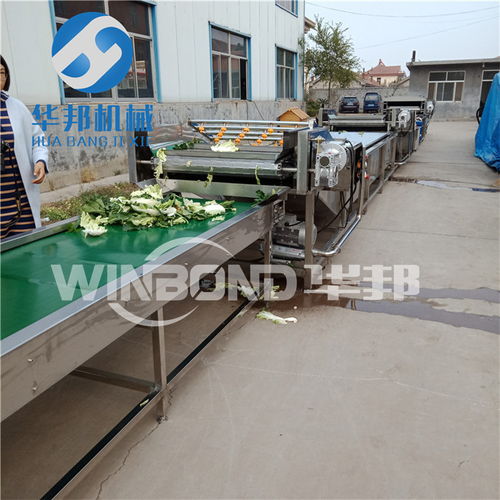 【蔬菜清洗設備,果蔬清洗機,凈菜加工設備】- 