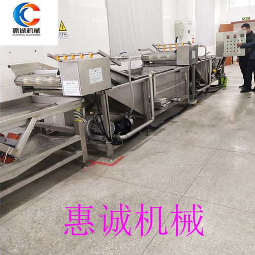 【廠家供應氣泡清洗流水線氣泡清洗機果蔬清洗機等清洗設備】- 