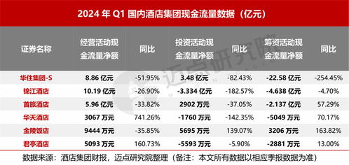 2024年一季度酒店集團(tuán)財務(wù)分析報告 信息服務(wù)業(yè)務(wù)成為增長新引擎